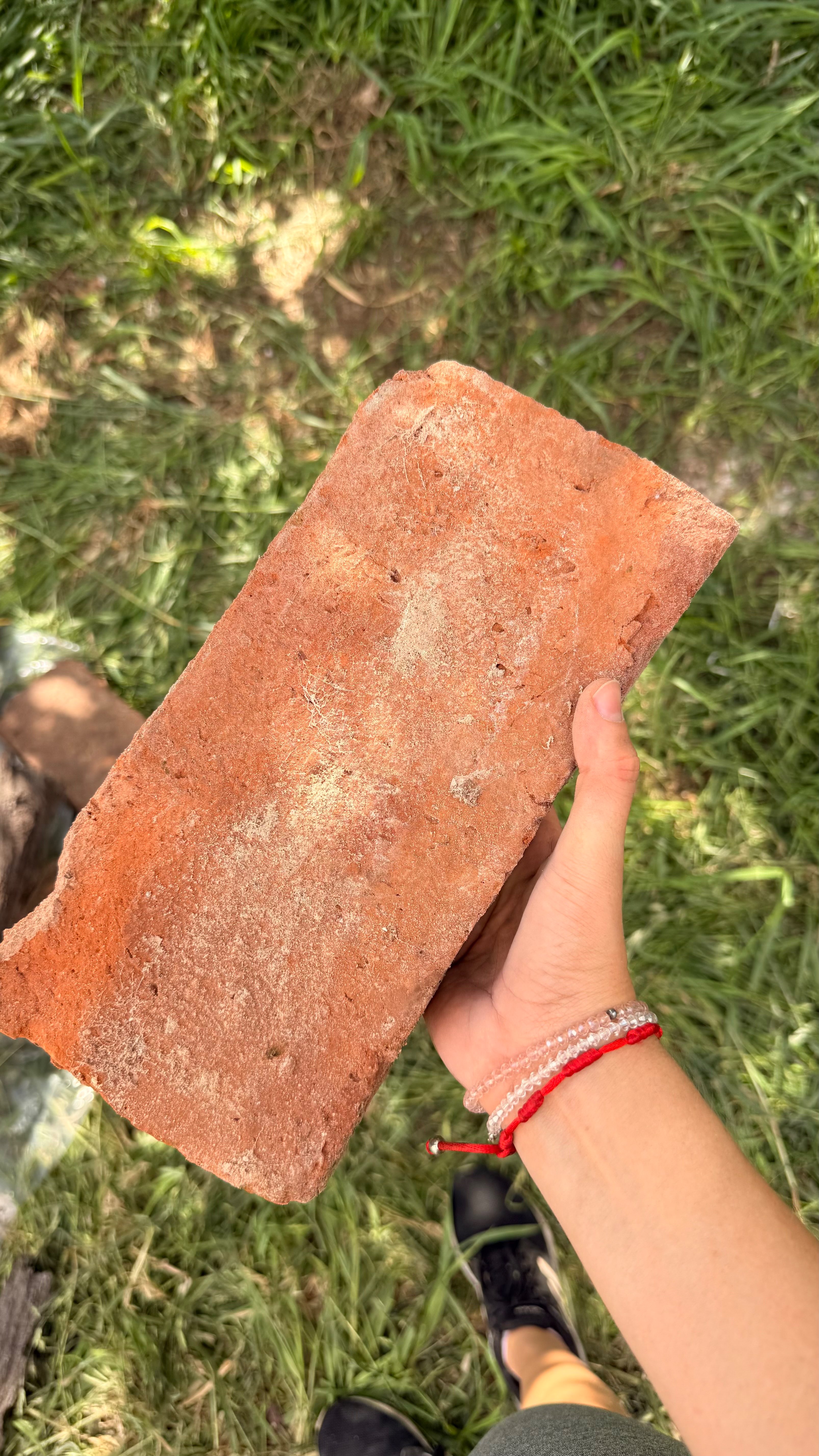 En perfecto estado, asentados en barro