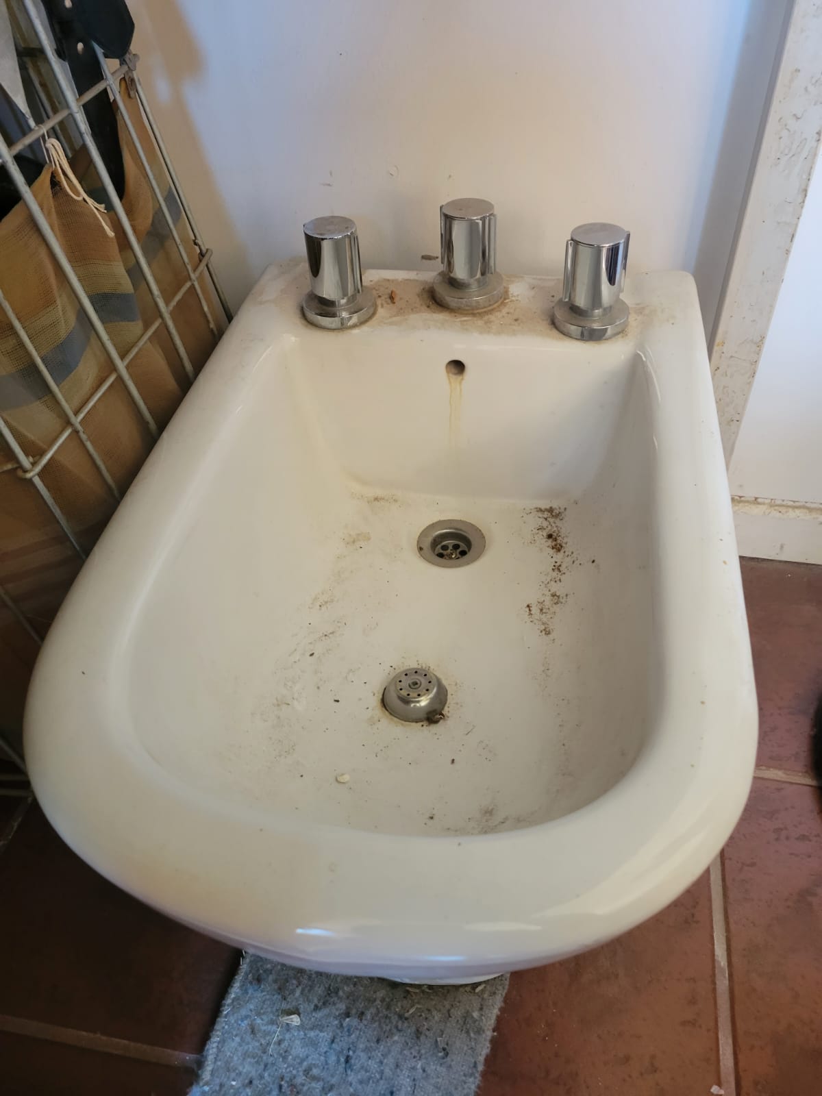 bidet blanco con griferia